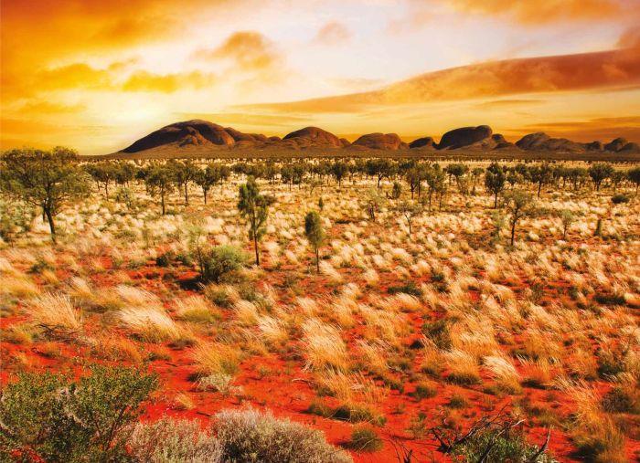 Australian-first for health of the bush